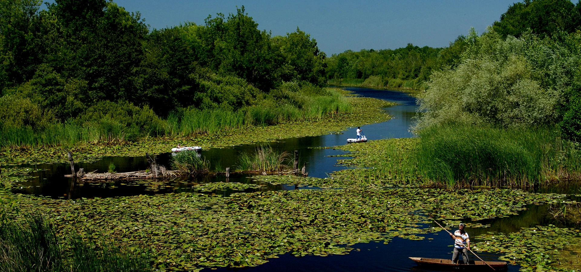 Acarlar Floodplain Forest in Sakarya Turkey