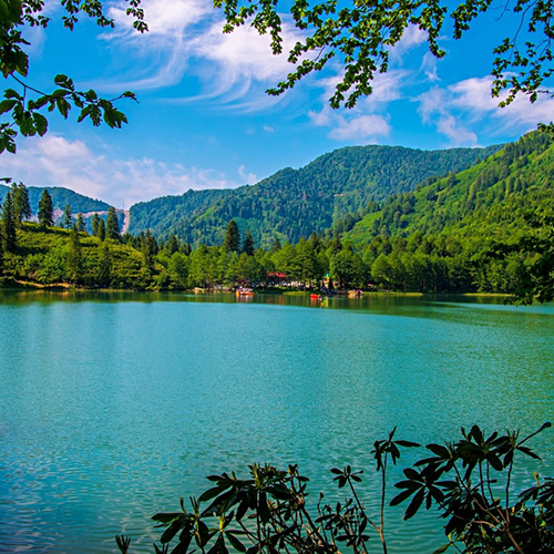 Artvin valleys, forests and mountain routes