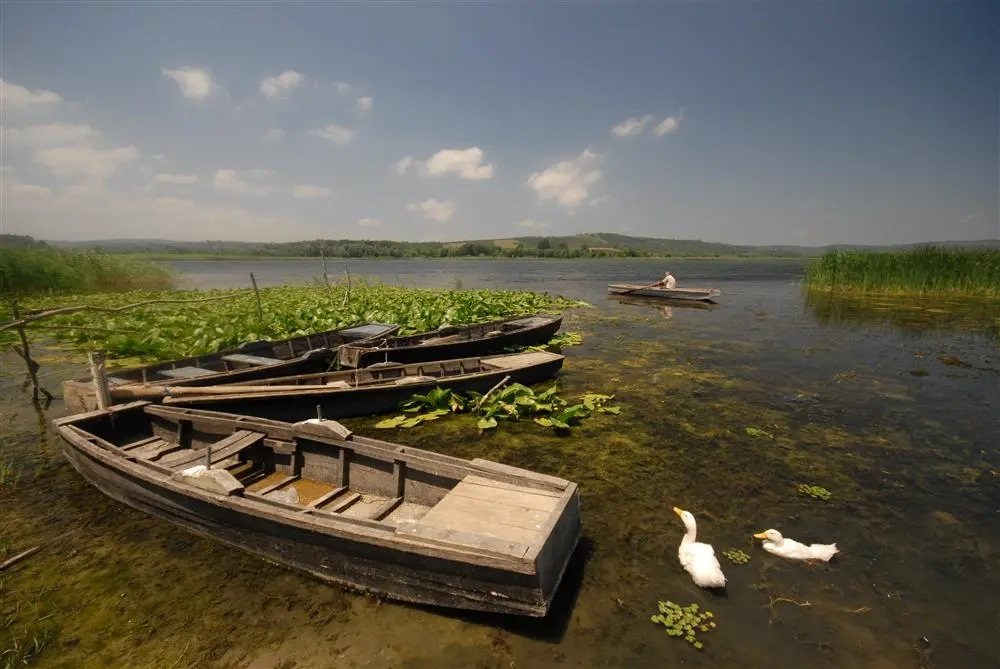 Buyuk Akgol Sakarya freshwater wetland reeds birdwatching Ferizli Karasu