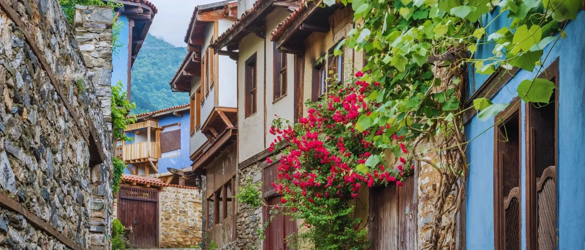 Private Bursa Iznik and Cumalikizik tour