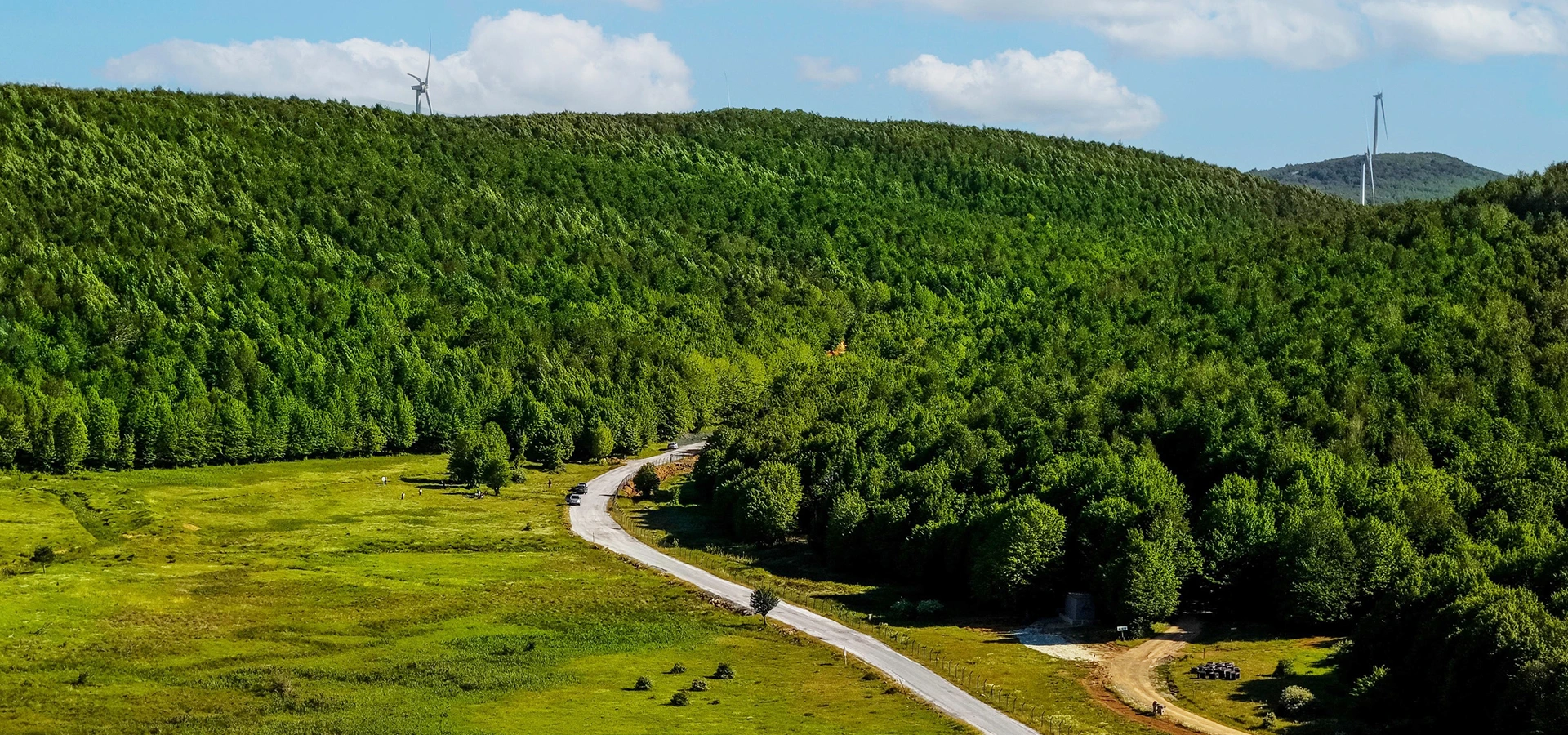 Delmece Plateau forests and highland scenery in Yalova Turkey