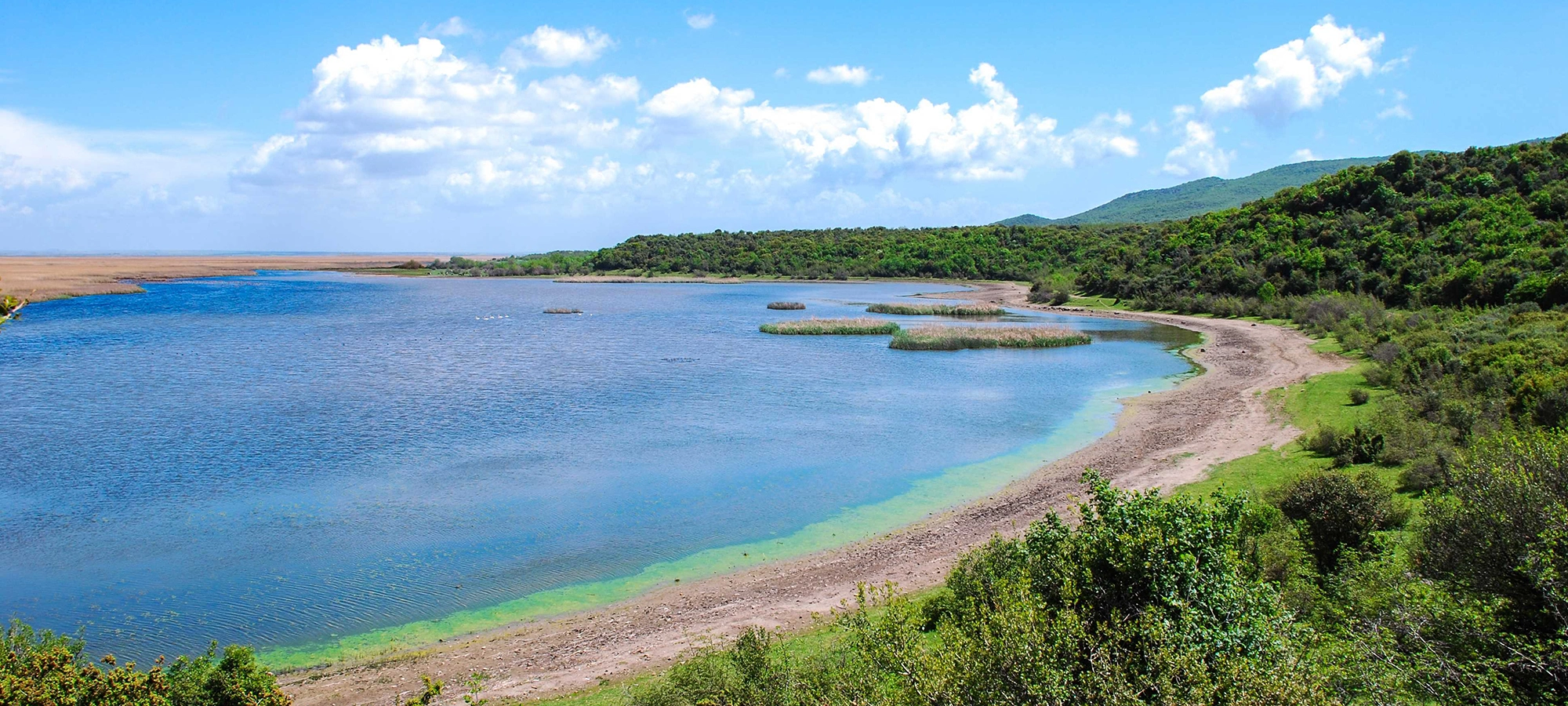 Gala Lake National Park Edirne flamingos wetlands migratory birds Turkey