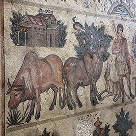 Germanicia Ancient City & Mosaics