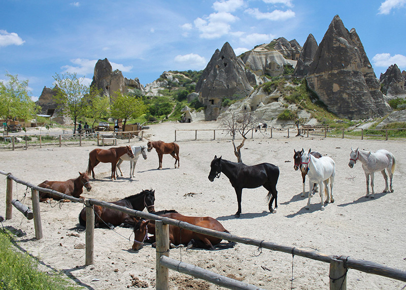 Horseback riding tours in Cappadocia