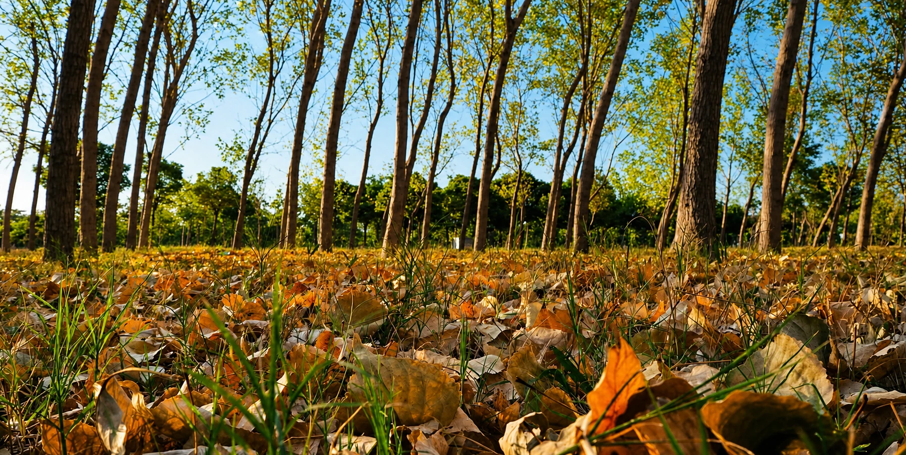 Inciralti Urban Forest coastal landscape in Balcova Izmir Turkey