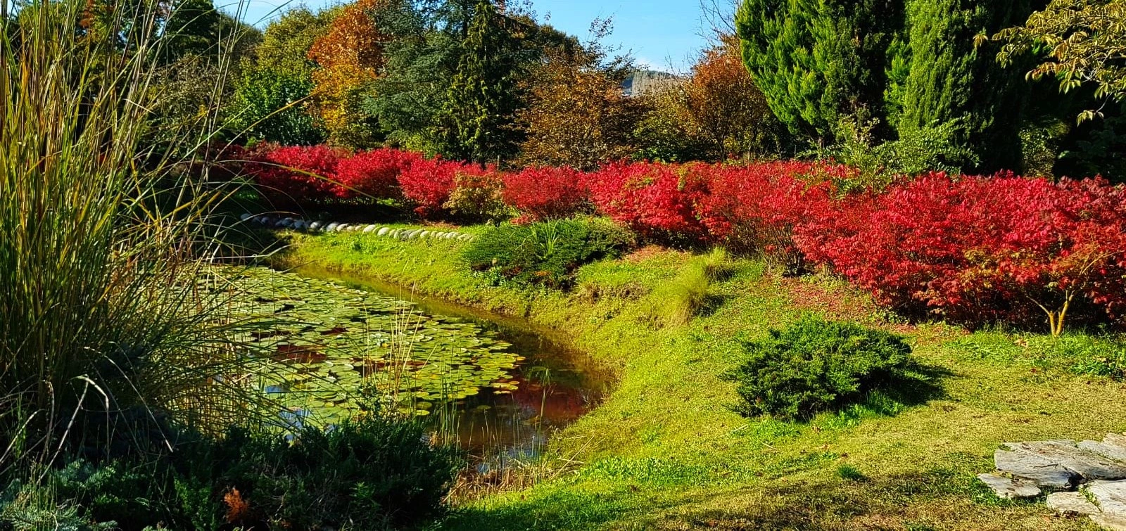 Karaca Arboretum botanical garden in Yalova Turkey
