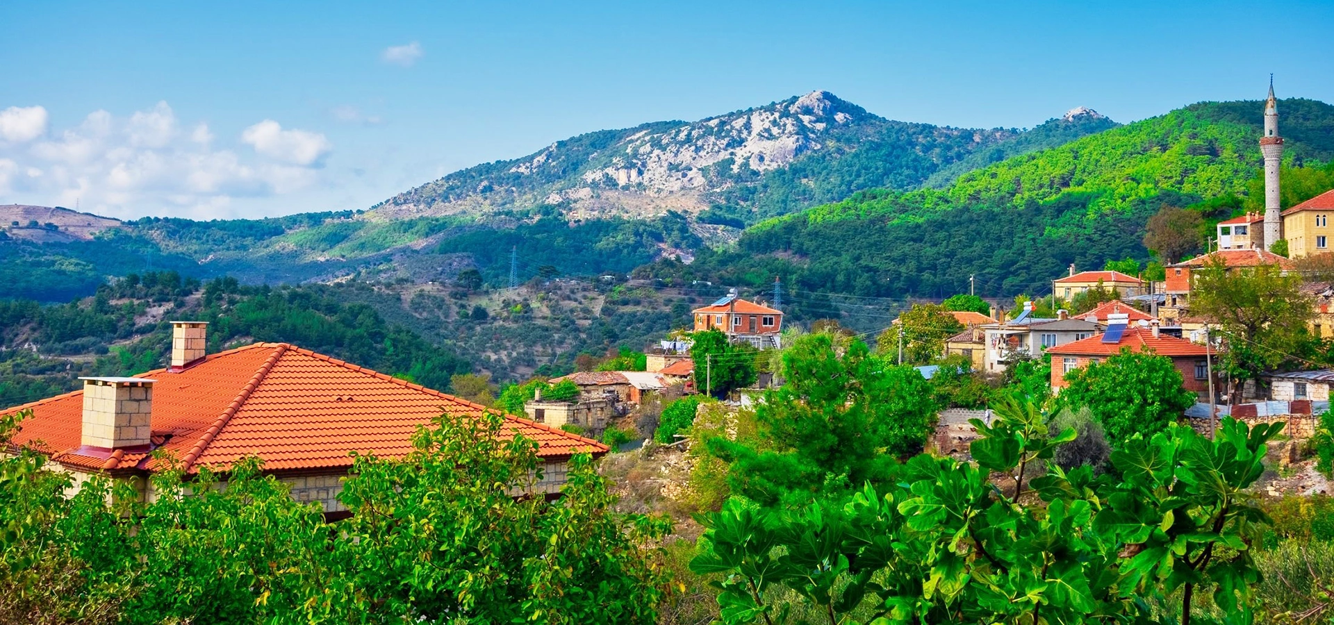 Kazdağı Mount Ida forests and mountain scenery in Balıkesir Turkey