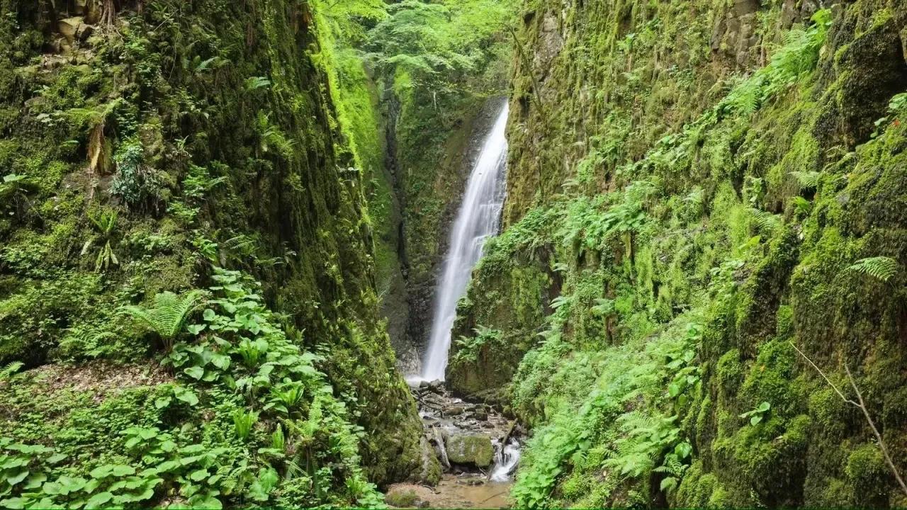 Nuzhetiye Waterfall Golcuk Kocaeli forest nature