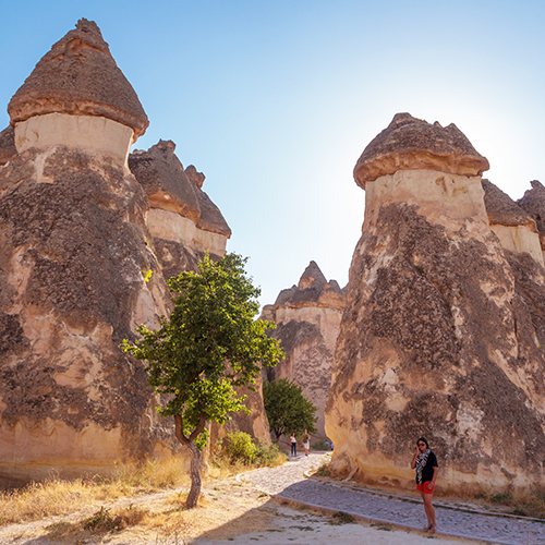 Cappadocia Delight Tour including Pasabag Fairy Chimneys