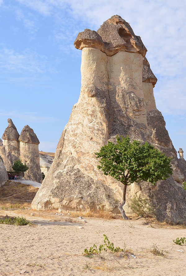 Mushroom-shaped fairy chimneys at Paşabağ
