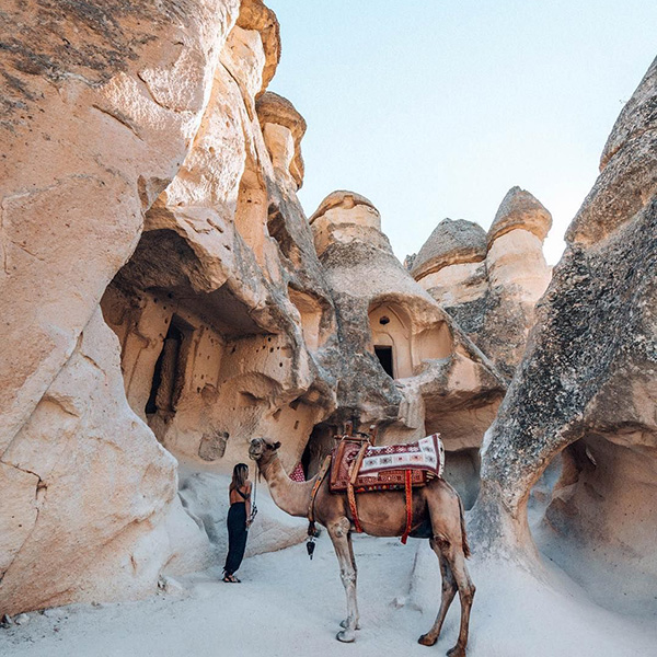 Private Tour