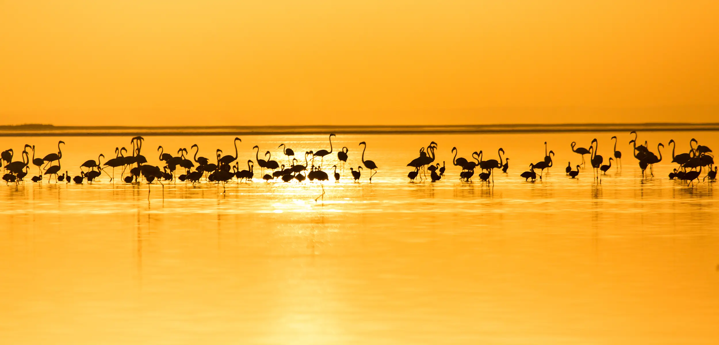 Sunset in Salt Lake with Kaymakli and Ihlara Valley Tour