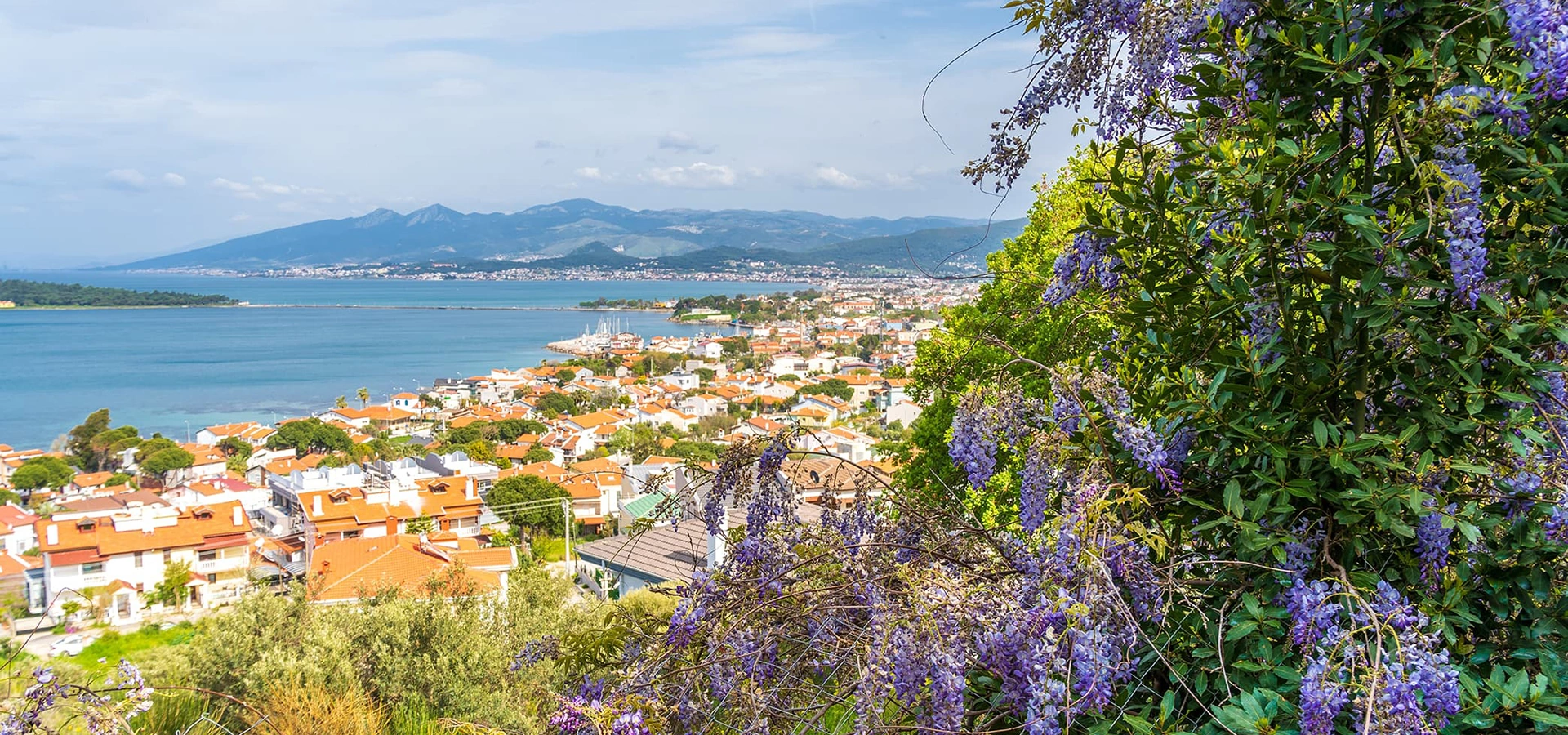 Urla coast, vineyards and historic streets in İzmir Turkey