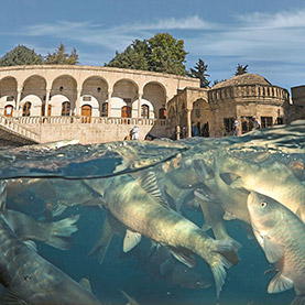 Balikligol - Bassin d'Abraham