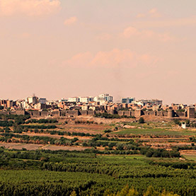 Jardins de l'Hevsel