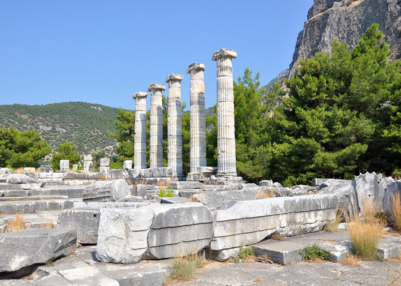 Private Priene-Miletus-Didyma-Tour
