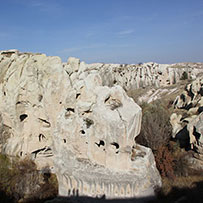 Gomeda Tal