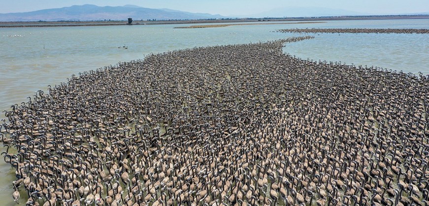 Nationalpark Vogelparadies Manyas-See
