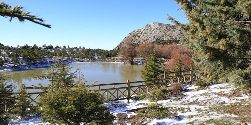 Nationalpark Berg Spil