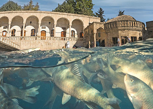 Private 1-Tages-Tour von Istanbul nach Göbeklitepe, Sanliurfa und Harran
