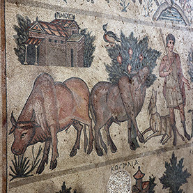 Città antica di Germanicia e mosaici