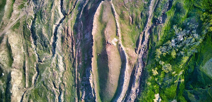 Arca di Noè