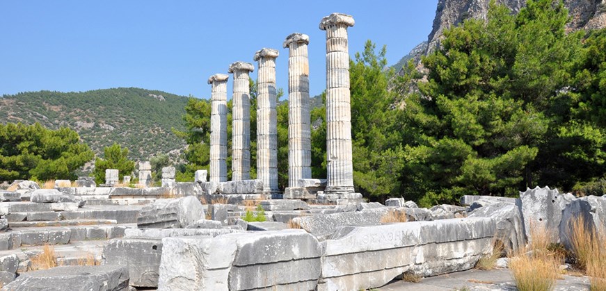 Tour privato Priene-Mileto-Didyma