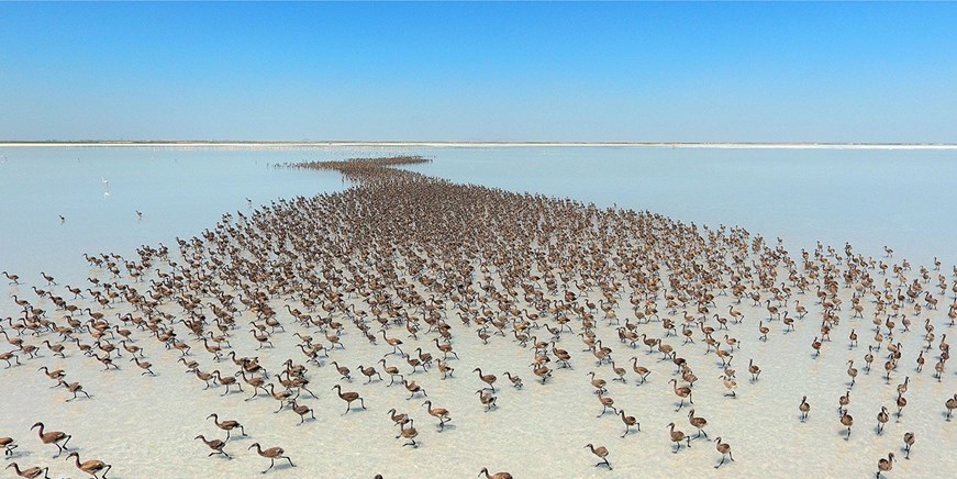 Lago Salato - Lago Salato
