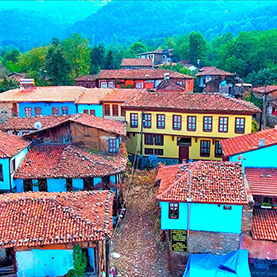 Bursa and Cumalıkızık