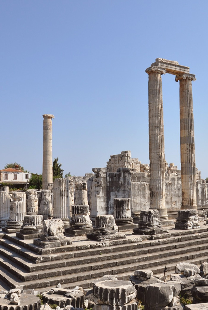 Tour privado de Priene-Mileto-Didima