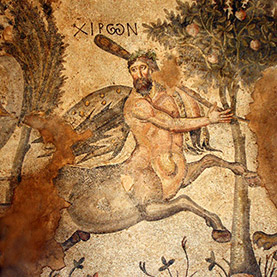 Museu do Mosaico de Haleplibahçe Museu do Mosaico de Haleplibahçe