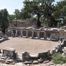 Tour privado de Priene-Mileto-Didima