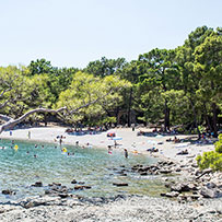 Phaselis Ancient City